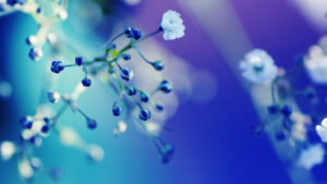 Read more about the article 9 Solid Fragrance Refills For The Ultimate Fragrance Lover